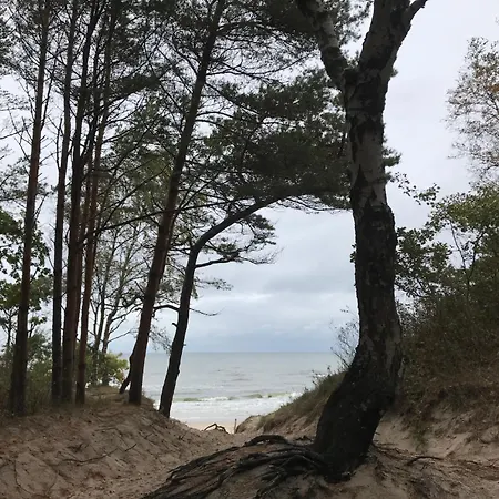 Apartament Zielone Tarasy - Visitopl